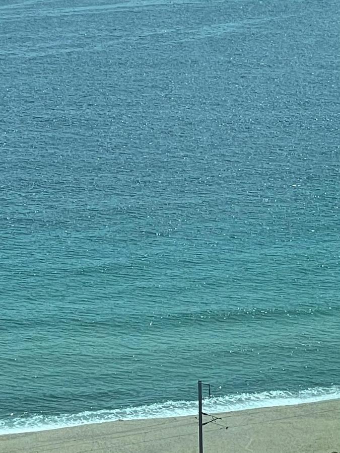 Donghae Oceancity Residence Hotel Экстерьер фото
